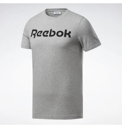 Футболка чоловіча Reebok Graphic Series Linear Logo Grey FP9162
