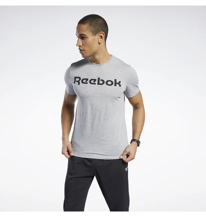 Футболка чоловіча Reebok Graphic Series Linear Logo Grey FP9162
