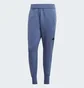 Штаны мужские Adidas Z.N.E. Premium Blue IR5205