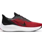 Кросівки чоловічі Nike Zoom Winflo 7 Red CJ0291-600