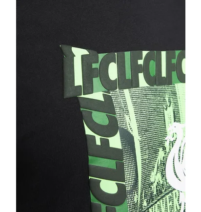 Футболка мужская Nike Lfc New Dna Black FD1091-010