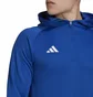 Кофта мужская Adidas Hooded Sweatshirt Tiro23 C Hood Blue HU1349