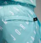 Шорты мужские Air Jordan Essentials Allover Print Poolside Turquoise DX9673-464