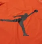Футболка мужская Air Jordan M J Jumpman Ss Crew Orange CJ0921-803
