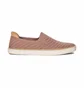 Кеды женские UGG Sammy Cheveron Beige 1099827-WPDW