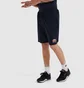 Шорты мужские Ellesse Vivaldi Short Blue SXG09889-429