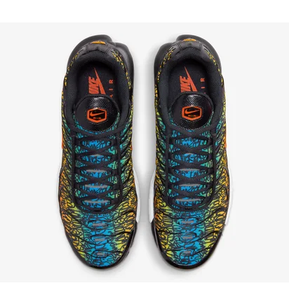 Кросівки чоловічі Nike Air Max Plus Multi DX2665-001