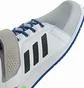 Кроссовки мужские Adidas Power Perfect 3 Weightlifting Shoes White GZ1476