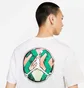 Футболка чоловіча Air Jordan M J Sprt Dna Hbr Ss Crew White CZ8083-100