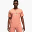 Футболка мужская Air Jordan Air Wm Tee Orange Ck4212-827