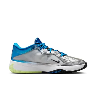 Кроссовки унисекс Nike Zoom Freak 5 Metallic DX4985-402