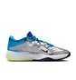 Кросівки унісекс Nike Zoom Freak 5 Metallic DX4985-402