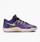 Кроссовки унисекс Nike Kd17 Basketball Shoes Violet FJ9487-400
