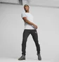 Штаны мужские Puma Evostripe Pants Dk Black 673315-51