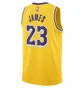 Майка чоловіча Nike Dri-Fit Nba Swingman Los Angeles Lakers Icon Edition 2022/23 Lebron James Yellow DN2009-733