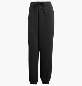 Штани жіночі Adidas All Szn Fleece Loose Black IW1024