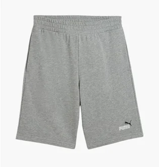 Шорты мужские Puma Essentials Grey 684715-03