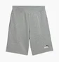 Шорти чоловічі Puma Essentials Grey 684715-03