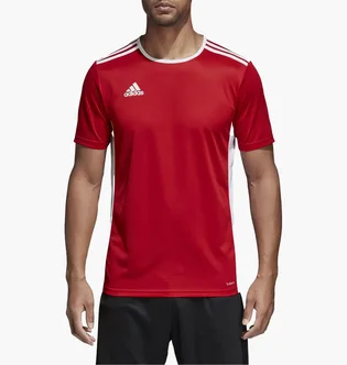 Футболка чоловіча Adidas Jersey Entrada 18 Jsy Red CF1038