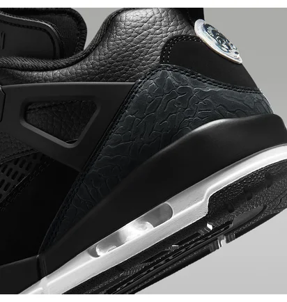 Кросівки чоловічі Air Jordan Spizike Low Black FQ1759-010
