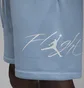 Шорты мужские Air Jordan Brooklyn Fleece Light Blue FN4535-436