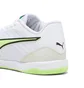 Футзалки мужские Puma Ibero Iv White 107418-01