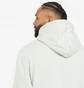 Худи мужское Air Jordan Essentials Statement Fleece Hoodie Green Da9816-017