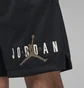 Шорти чоловічі Air Jordan M J Ess Mesh Gfx Short Black DV7652-010