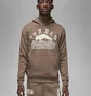Худі чоловіче Air Jordan Artist Series By Umar Rashid Brown Dv7571-274