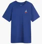 Футболка чоловіча Air Jordan Brand Rare Aj3 Ss Crew Blue IB7526-485