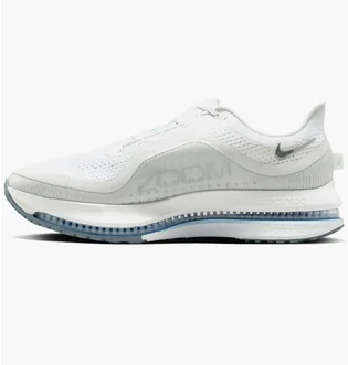 Кроссовки мужские Nike Pegasus Premium Road Running White HQ2592-107