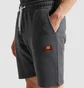 Шорты мужские Ellesse Noli Fleece Short Grey SHS01894-106
