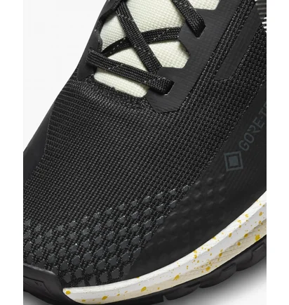 Кроссовки мужские Nike Pegasus Trail 4 Gore-Tex Black DJ7926-005