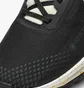 Кроссовки мужские Nike Pegasus Trail 4 Gore-Tex Black DJ7926-005