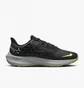 Кросівки жіночі Nike Pegasus 39 Shield Running Shoes Black Do7626-002