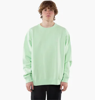 Лонгслив мужской Nike Acg Crewneck Vapor Green DX9611-376