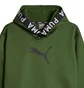 Худи мужское Puma Train Pwr Fleece Hoodie Green 520893-33