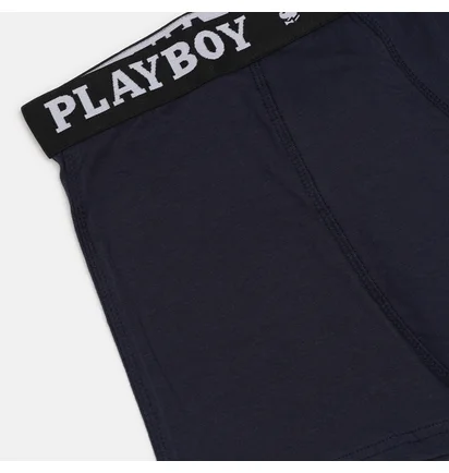 Трусы мужские Playboy Annya Boxershort Xl Grey (1 шт) ANNYA-0203