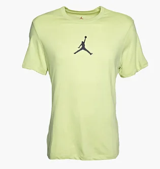 Футболка мужская Air Jordan Jumpman Dri-Fit Crew Yellow CW5190-352