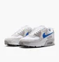 Кроссовки мужские Nike Air Max 90 Grey DM0029-110