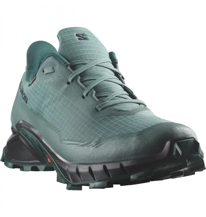 Кросівки жіночі Salomon Alphacross 5 Gtx Blue L47595000