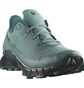 Кросівки жіночі Salomon Alphacross 5 Gtx Blue L47595000