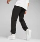 Штаны мужские Puma Team Black 621328-01
