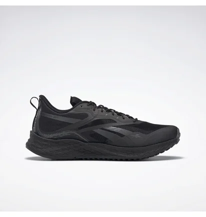 Кросівки чоловічі Reebok Floatride Energy 3.0 Adventure Black G58173