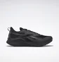 Кросівки чоловічі Reebok Floatride Energy 3.0 Adventure Black G58173