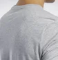 Футболка чоловіча Reebok Graphic Series Linear Logo Grey FP9162