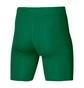Термобілизна чоловіча Nike Pro Dri-Fit Strike Green Dh8128-302