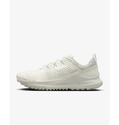 Кроссовки мужские Nike Pegasus Trail 4 Beige DJ6158-008
