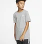 Футболка детская Nike B Nsw Tee Emb Futura Grey AR5254-063