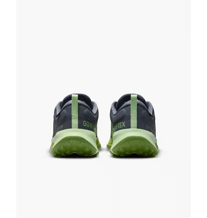 Кроссовки мужские Nike Juniper Trail 2 Gore-Tex Blue FB2067-403